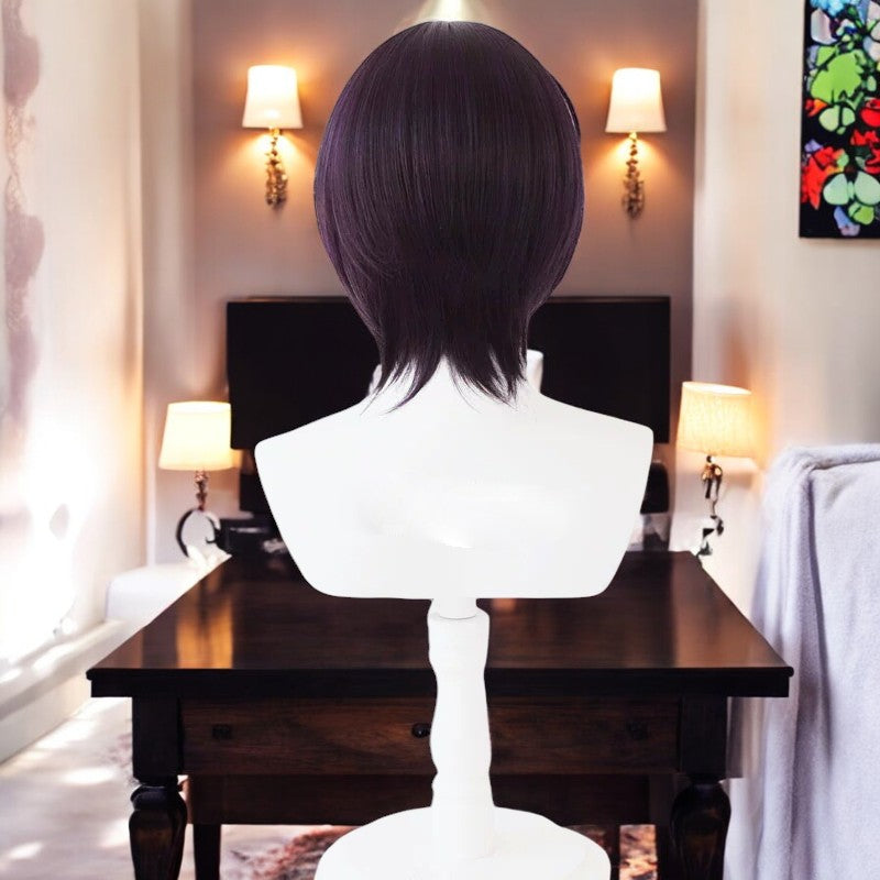 Shinsuke Takasugi, Gintama, Anime Character Wig, Anime, Character Hair