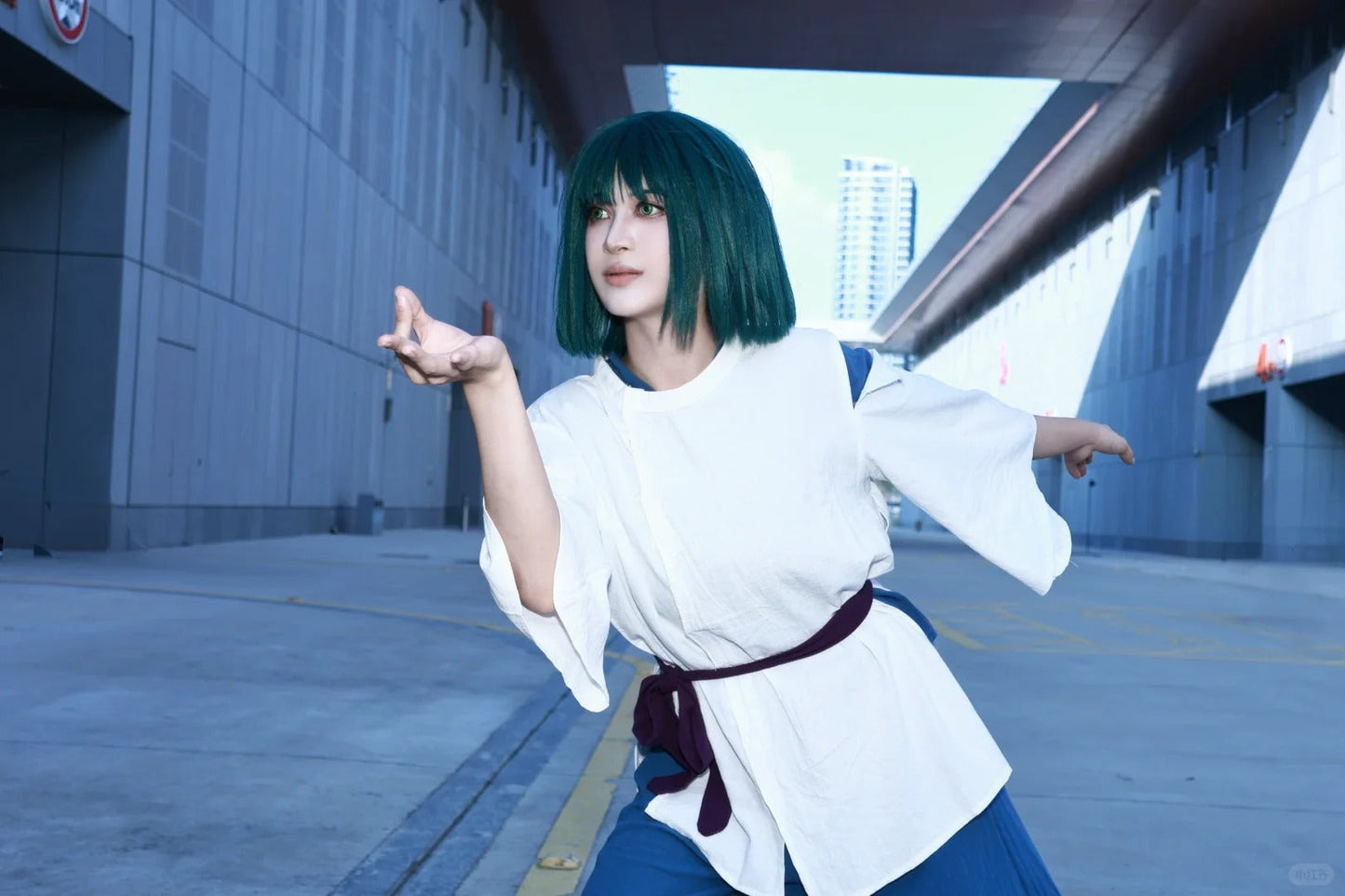 Haku and Chihiro Cosplay Costume Outfit, Anime Events, Character Outfit