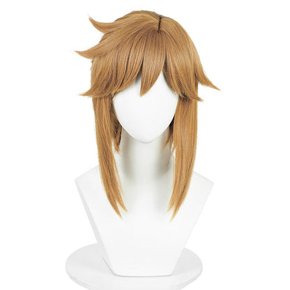 The Legend of Zelda, Anime Cosplay Wig, Character Fake Hair