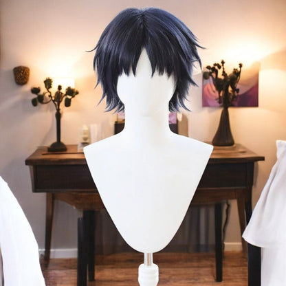 Hirotaka Nifuji, Anime Character Wig, Anime, Character Hair