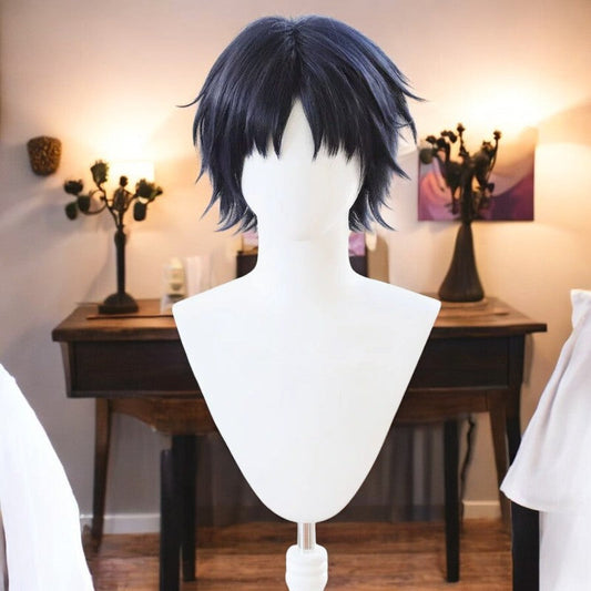 Hirotaka Nifuji, Anime Character Wig, Anime, Character Hair