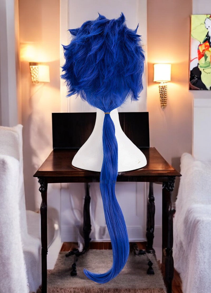 Lancer, Fate Apocrypha, Fate Stay, Anime Character Wig, Anime, Character Hair