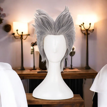 Garou, One Punch, Anime Character Wig, Anime, Character Hair