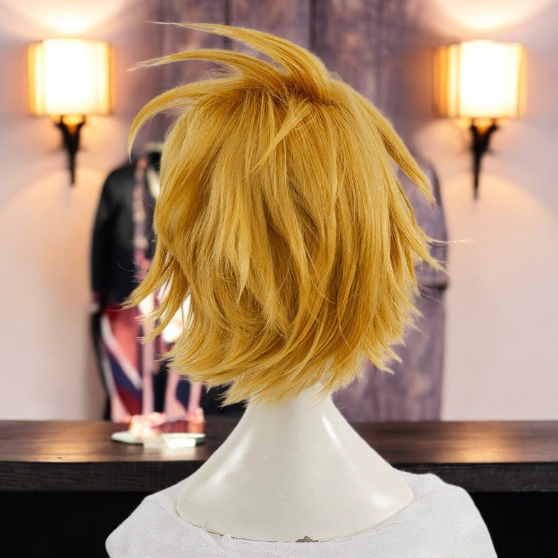 My Hero Academia, Sajin Higawara, Anime Character Wig, Anime, Character Hair