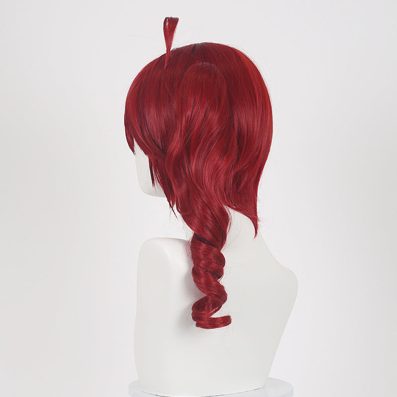 Vocaloid Kasane Teto and Hatsune Miku, Anime Cosplay Wig, Character Fake Hair