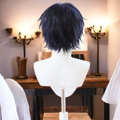 Hirotaka Nifuji, Anime Character Wig, Anime, Character Hair
