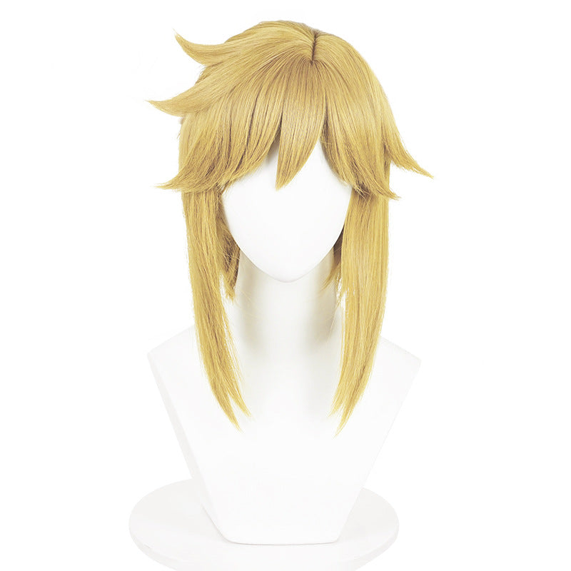The Legend of Zelda, Anime Cosplay Wig, Character Fake Hair