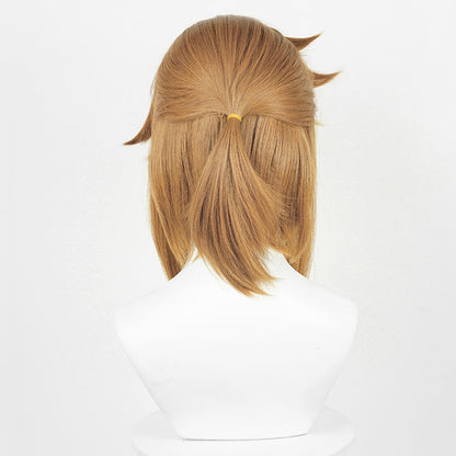 The Legend of Zelda, Anime Cosplay Wig, Character Fake Hair