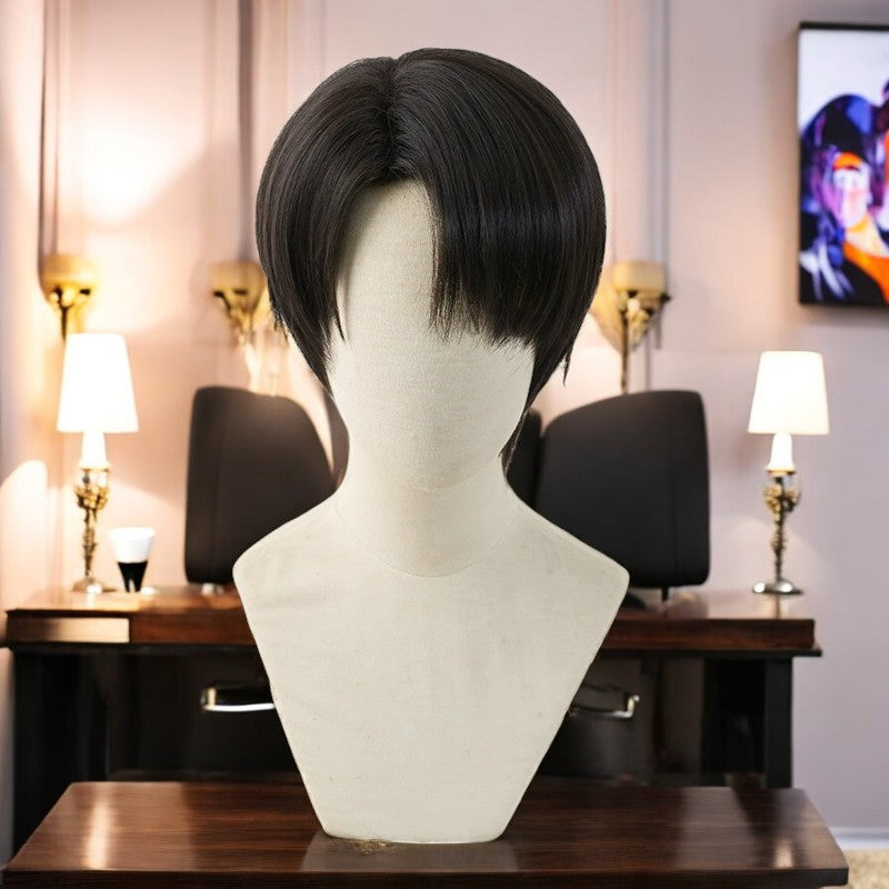 Levi Ackerman, Anime Character Wig, Anime, Character Hair
