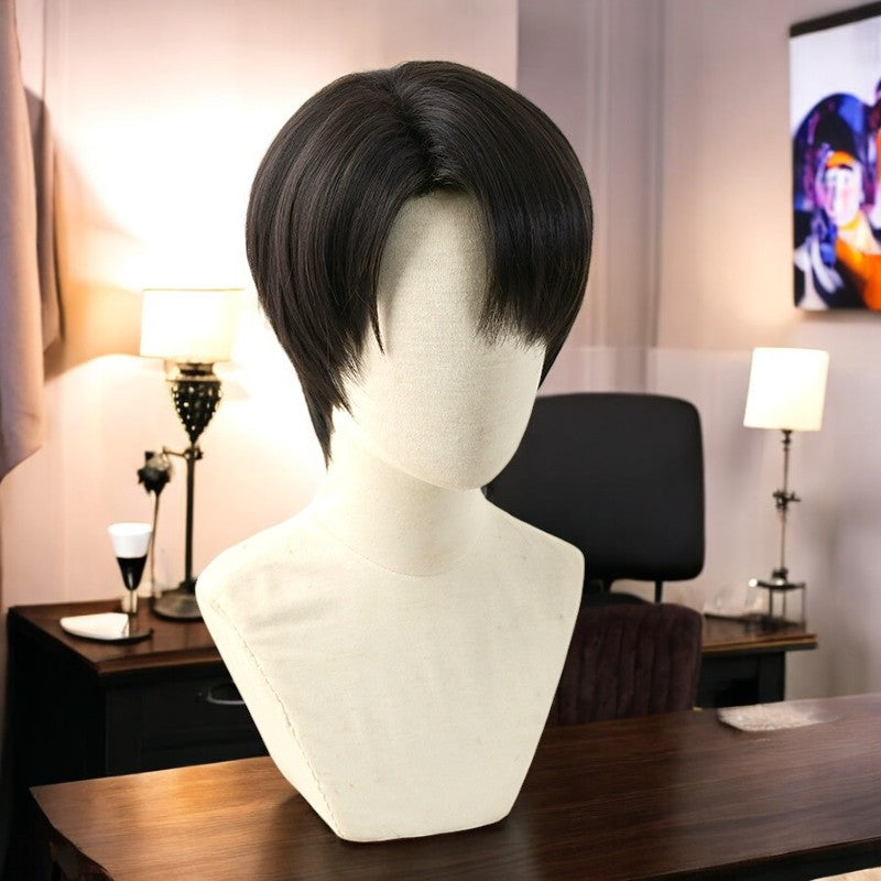 Levi Ackerman, Anime Character Wig, Anime, Character Hair