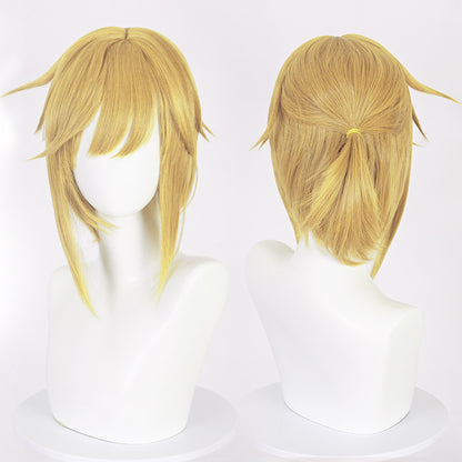 Princess Zelda, Legend, Anime Cosplay Wig, Character Fake Hair