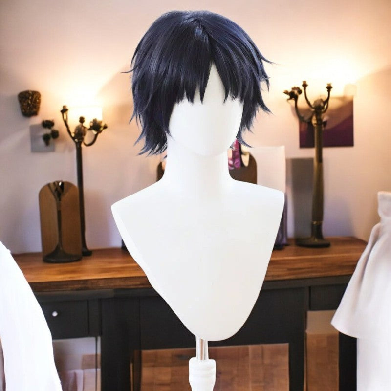 Hirotaka Nifuji, Anime Character Wig, Anime, Character Hair
