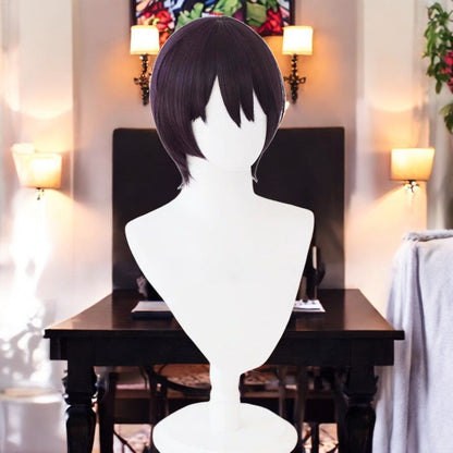 Shinsuke Takasugi, Gintama, Anime Character Wig, Anime, Character Hair