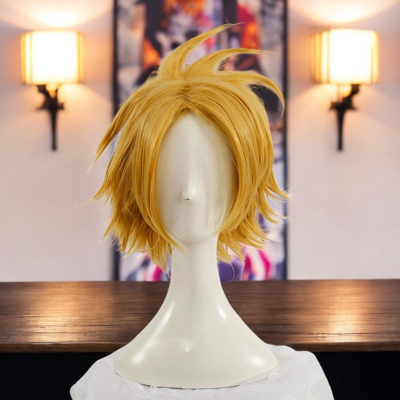 My Hero Academia, Sajin Higawara, Anime Character Wig, Anime, Character Hair