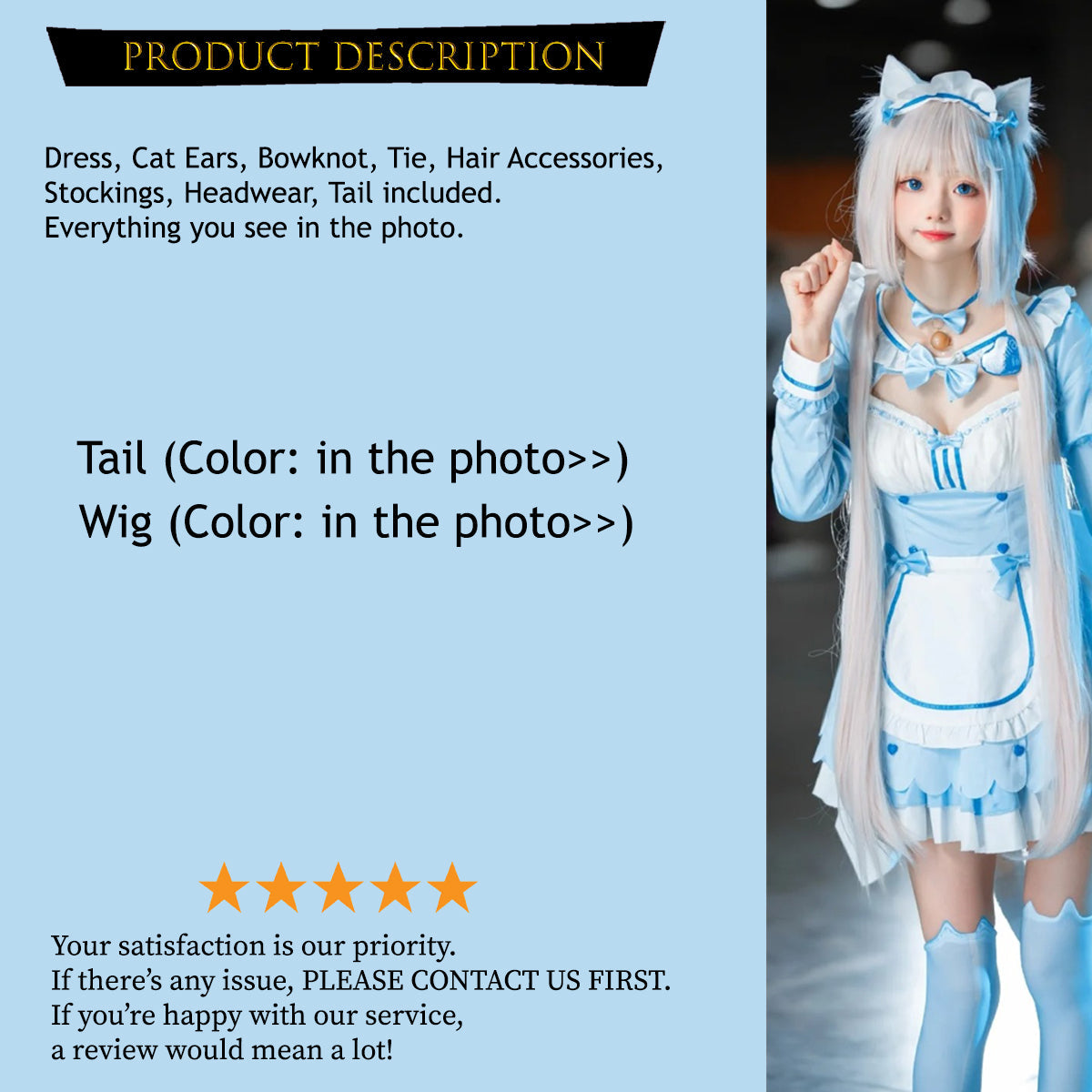 Vanilla and Chocola Maid, Cosplay Costume Outfit, Anime Events, Character Outfit